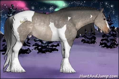 Horse Color:Brown Dun Tobiano Rabicano