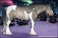 Horse Color:Brown Dun Tobiano Rabicano 