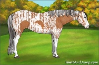 Horse Color:Bay Splash Tobiano Varnish and Bay Splash Tobiano Varnish