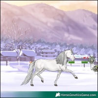 Horse Color:Cremello Roan
