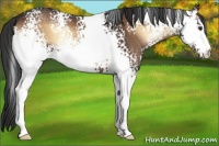 Horse Color:White Spotted Liver Red Onyx 