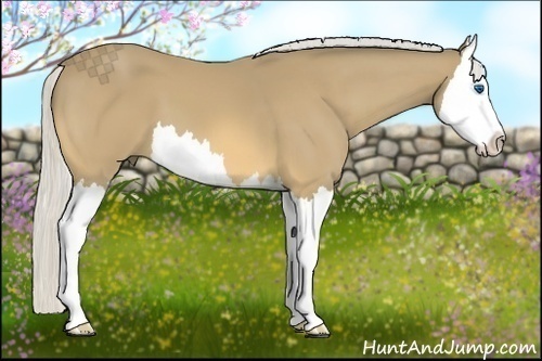 Horse Color:Silver Buckskin Splash