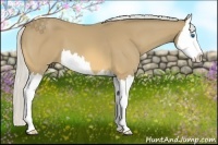 Horse Color:Silver Buckskin Splash