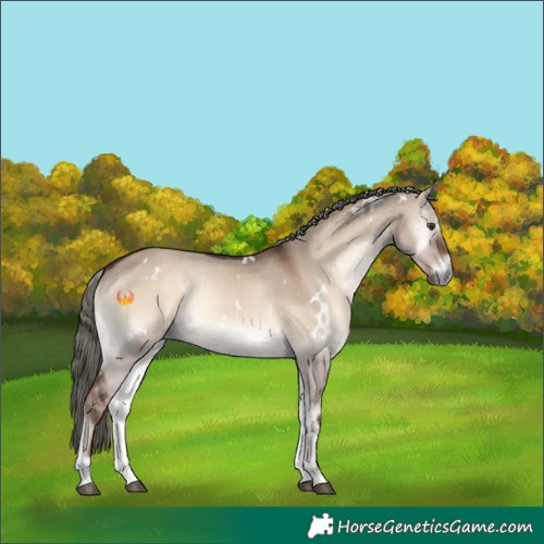 Horse Color:White Spotted Liver Red Dun Onyx Mushroom 