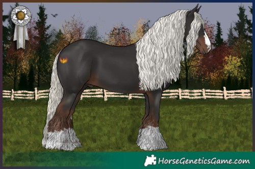Horse Color:Liver Chestnut Mushroom 