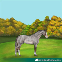 Horse Color:Liver Red Roan Mushroom Splash