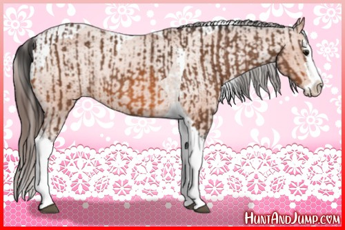 Horse Color:Bay Splash Tobiano Varnish  and Bay Splash Tobiano Varnish 
