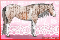 Horse Color:Bay Splash Tobiano Varnish  and Bay Splash Tobiano Varnish 
