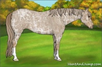 Horse Color:Chocolate Palomino Ice Roan 