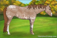 Horse Color:Chestnut Ice 