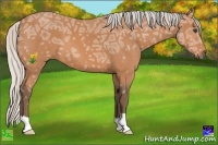 Horse Color:Silver Bay Ice