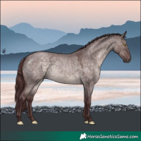 Horse Color:Platinum Chocolate Brown Roan Dun 