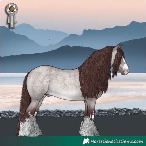 Horse Color:Platinum Chocolate Brown Roan Dun 