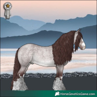 Horse Color:Platinum Chocolate Brown Roan Dun 