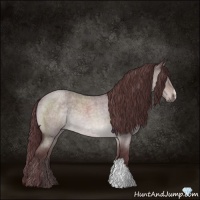 Horse Color:Platinum Chocolate Brown Roan Dun 