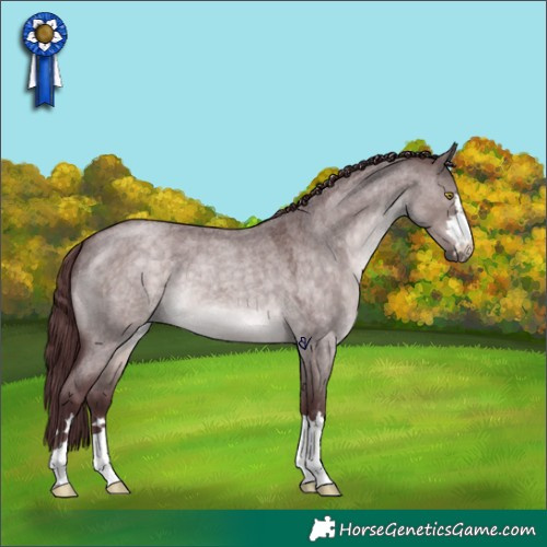 Horse Color:Platinum Chocolate Brown Roan Dun 