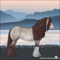 Horse Color:Platinum Chocolate Brown Roan Dun 