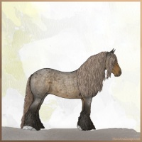 Horse Color:Chocolate Palomino Roan 