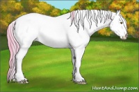 Horse Color:Watercolor White Spotted Brown Pearl Rabicano 