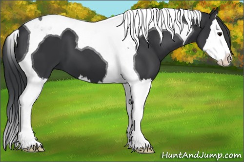 Horse Color:Black Splash Tobiano