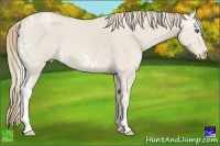 Horse Color:Smoky Creme Ice Tobiano