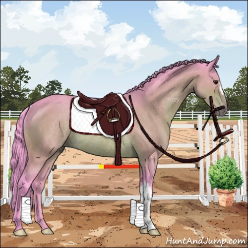 Horse Color:Watercolor Brown Rabicano 