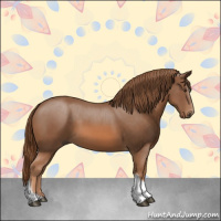 Horse Color:Chestnut Tobiano