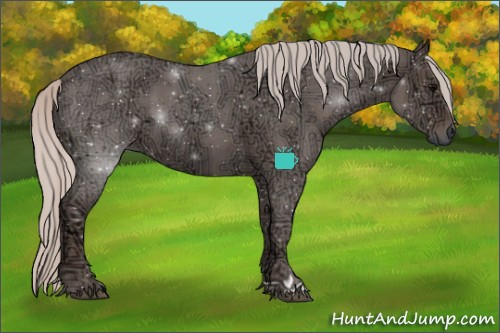 Horse Color:Silver Blue Ice Roan 