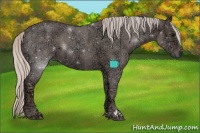 Horse Color:Silver Blue Ice Roan 