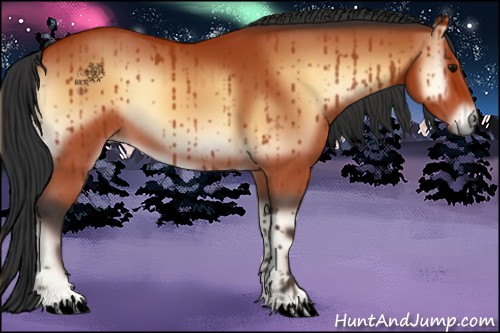 Horse Color:Bay Onyx 