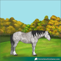 Horse Color:White Spotted Brown Ice Dun