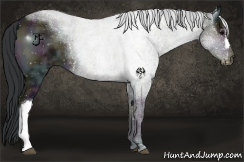Horse Color:Midnight Brown Ice Onyx 