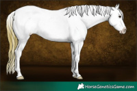 Horse Color:Buckskin Dun Tobiano Blanket 