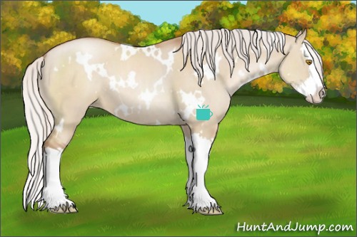 Horse Color:White Spotted Silver Grullo Pearl Splash