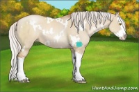 Horse Color:White Spotted Silver Grullo Pearl Splash 