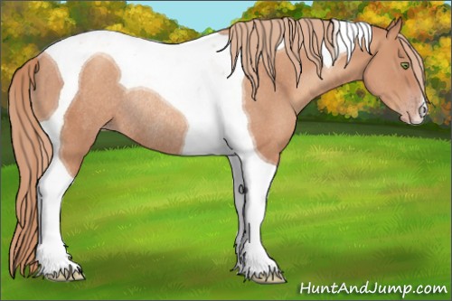 Horse Color:Gold Champagne Tobiano Rabicano 