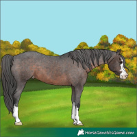Horse Color:Brown Varnish 