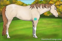 Horse Color:Smoky Grullo Pearl Sabino Tobiano