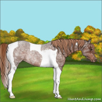 Horse Color:Liver Red Ice Roan Tobiano Rabicano 