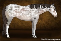 Horse Color:Liver Red Ice Roan 