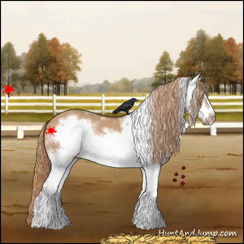 Horse Color:White Spotted Red Dun Frame 