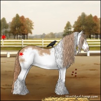 Horse Color:White Spotted Red Dun Frame
