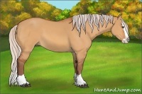 Horse Color:Chocolate Silver Buckskin Dun Splash 