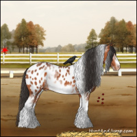 Horse Color:White Spotted Bay Tobiano Frame Appaloosa