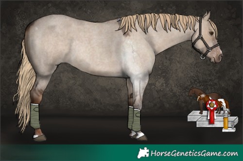 Horse Color:Liver Red Dun Roan Rabicano