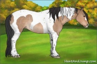 Horse Color:Bay Dun Tobiano Rabicano 