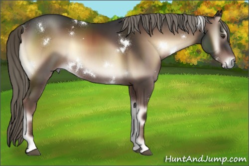 Horse Color:White Spotted Liver Red Onyx 