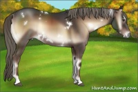 Horse Color:White Spotted Liver Red Onyx 