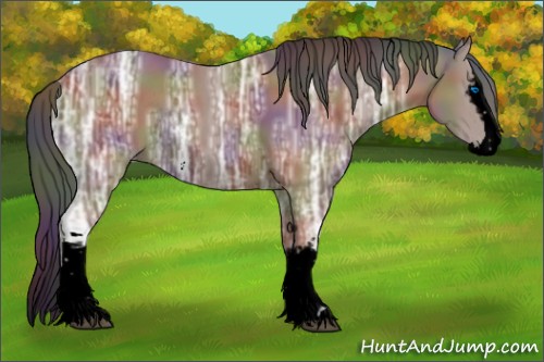 Horse Color:Void Nacre White Spotted Bay Ice Sabino Splash Rabicano 