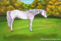Horse Color:Watercolor White Spotted Silver Brown Ice Pearl Onyx Rabicano 